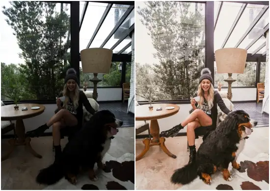 Warm Brown Lightroom Presets Dng