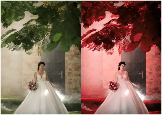 Free Adobe Lightroom Autumn Presets for Photographers