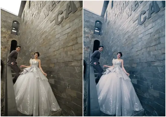 Dark & Moody Wedding Color Palette DNG