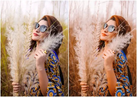 Indian Wedding Warm Tone Lightroom Presets