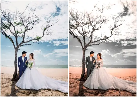 Download Preset Winter Weddings