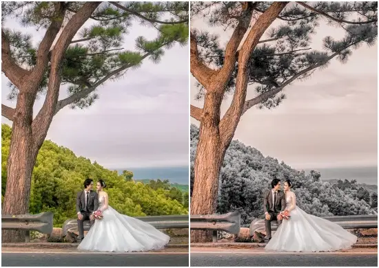 Winter wedding couple photo editor