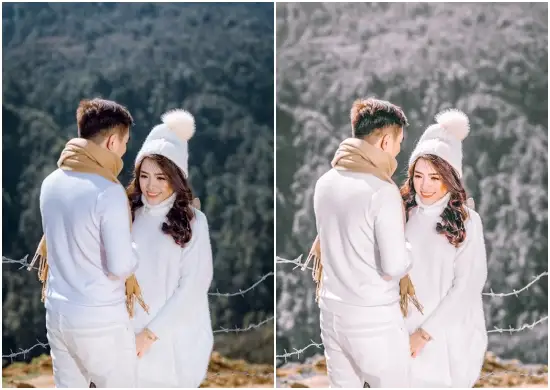 Wedding Album Editing Preset Photo