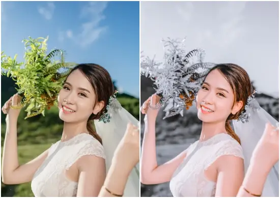 Winter Weddings Ideas Preset DNG