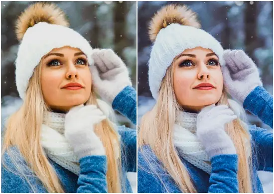 Winter Colors Matte Preset