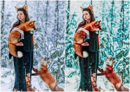 Lightroom Snow Fall Presets