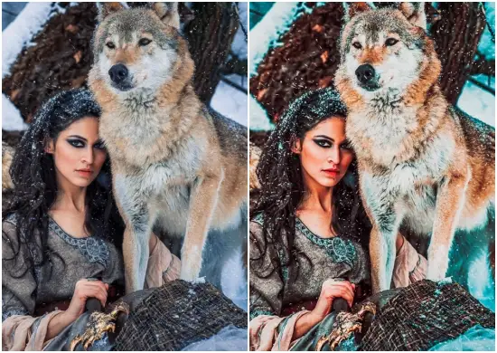 Lightroom Snow Presets