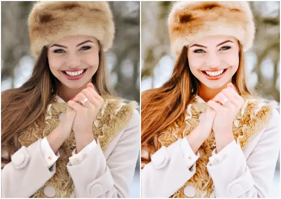 Pro Portrait Winter Preset