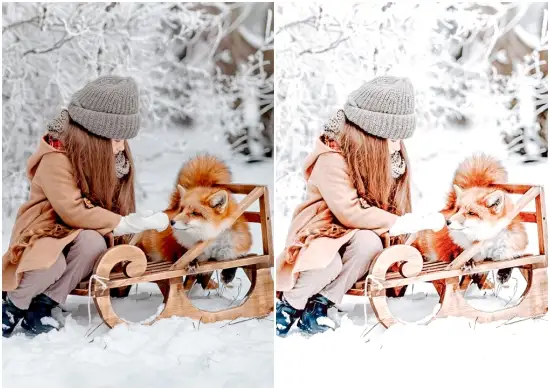 Download Winter Wonderland Dng Lightroom Preset