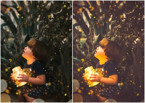 Moody Woodlands Collection Preset