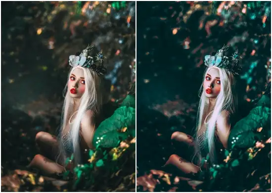 Cameraraw Preset Designs Woodlands