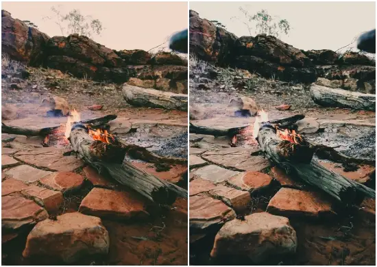 Woodlands Lightroom Preset Free