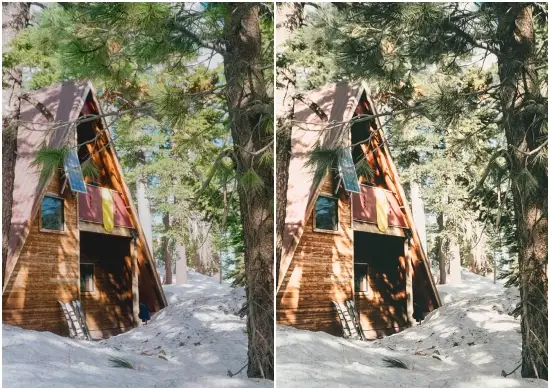 Woodlands Lightroom Preset DNG