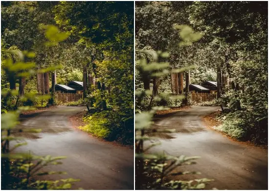  Woodlands Preset Free Download