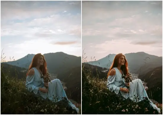 Woodlands Free Preset Download