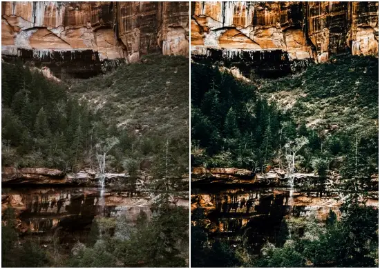 Woodlands LUTs and Lightroom Presets