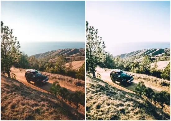 Woodlands Mobile & Desktop Lightroom Presets